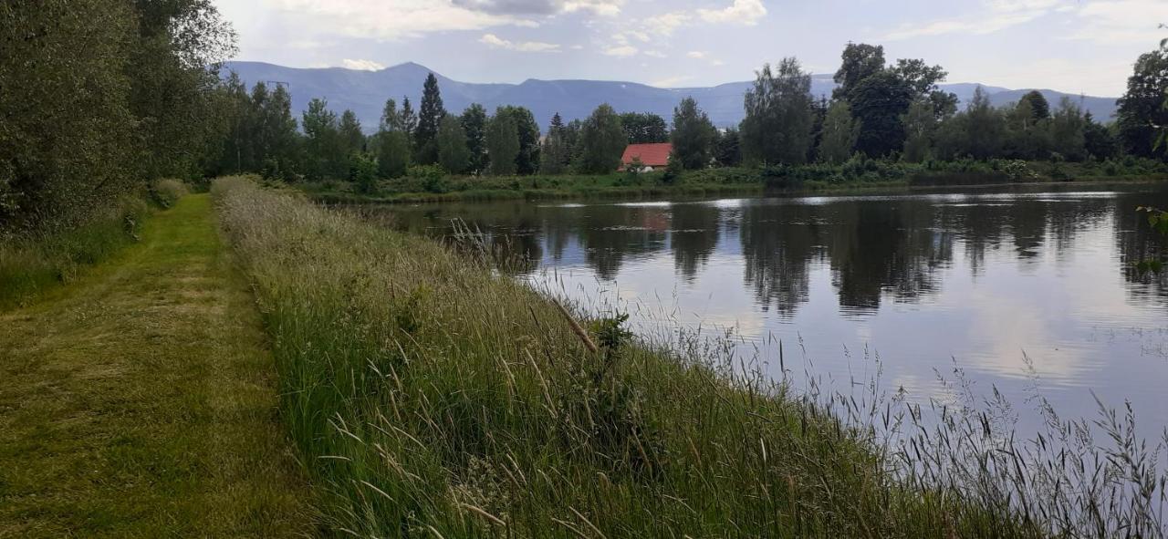 Agroturystyka Aura Kostrzyca Exterior photo